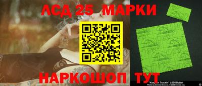 винт Сланцы