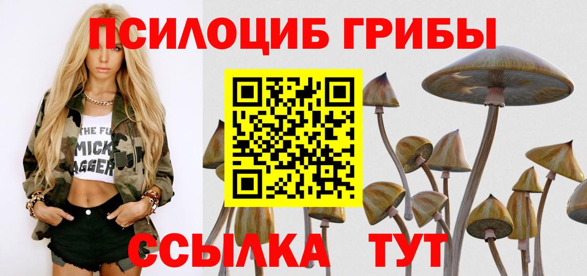Псилоцибиновые грибы Cubensis  Вход с VPN  Славянск-на-Кубани 